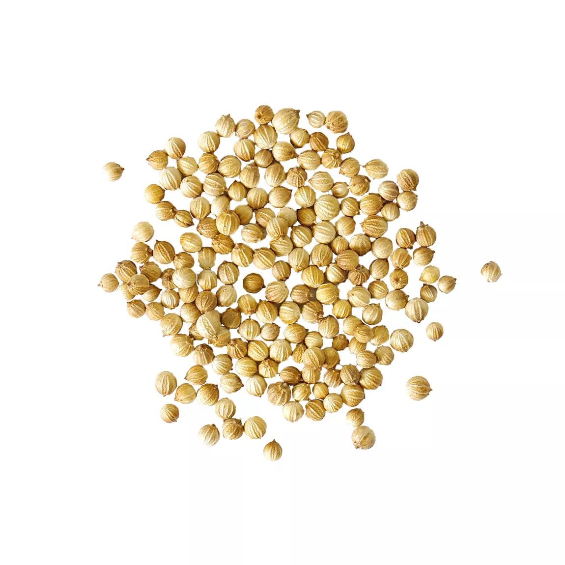 Coriander Seeds - Sur les Quais