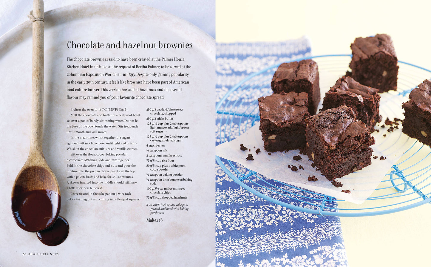 Brownies Blondies and Other Traybakes Book