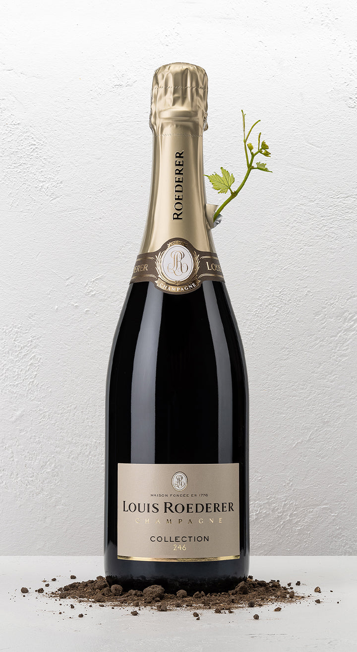 Champagne Brut Collection 244 - Louis Roederer