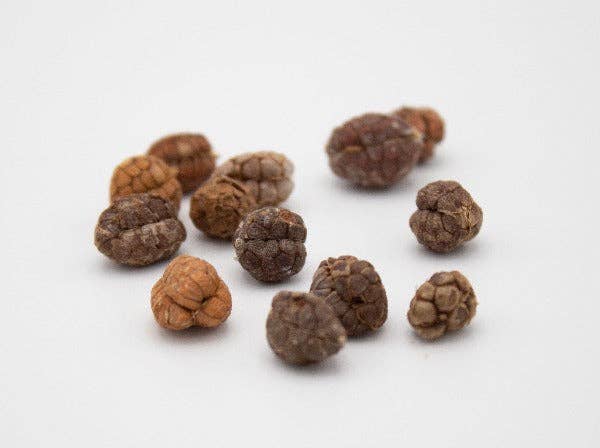Cardamom of the forest - Cofrapep