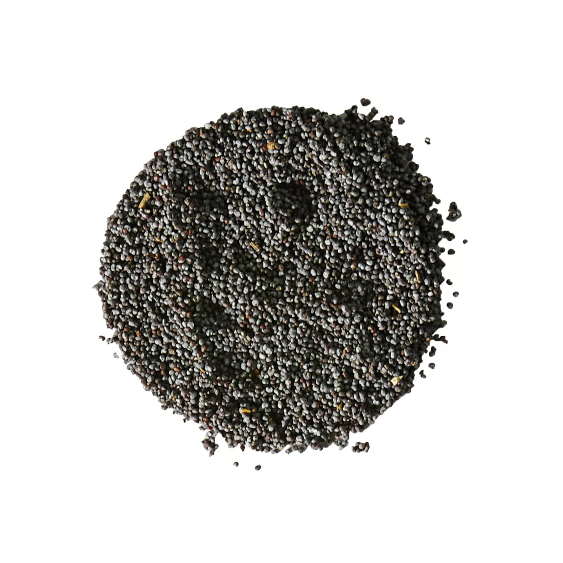 Blue Poppy Seeds - Sur les Quais