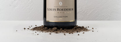 Champagne Brut Collection 244 - Louis Roederer