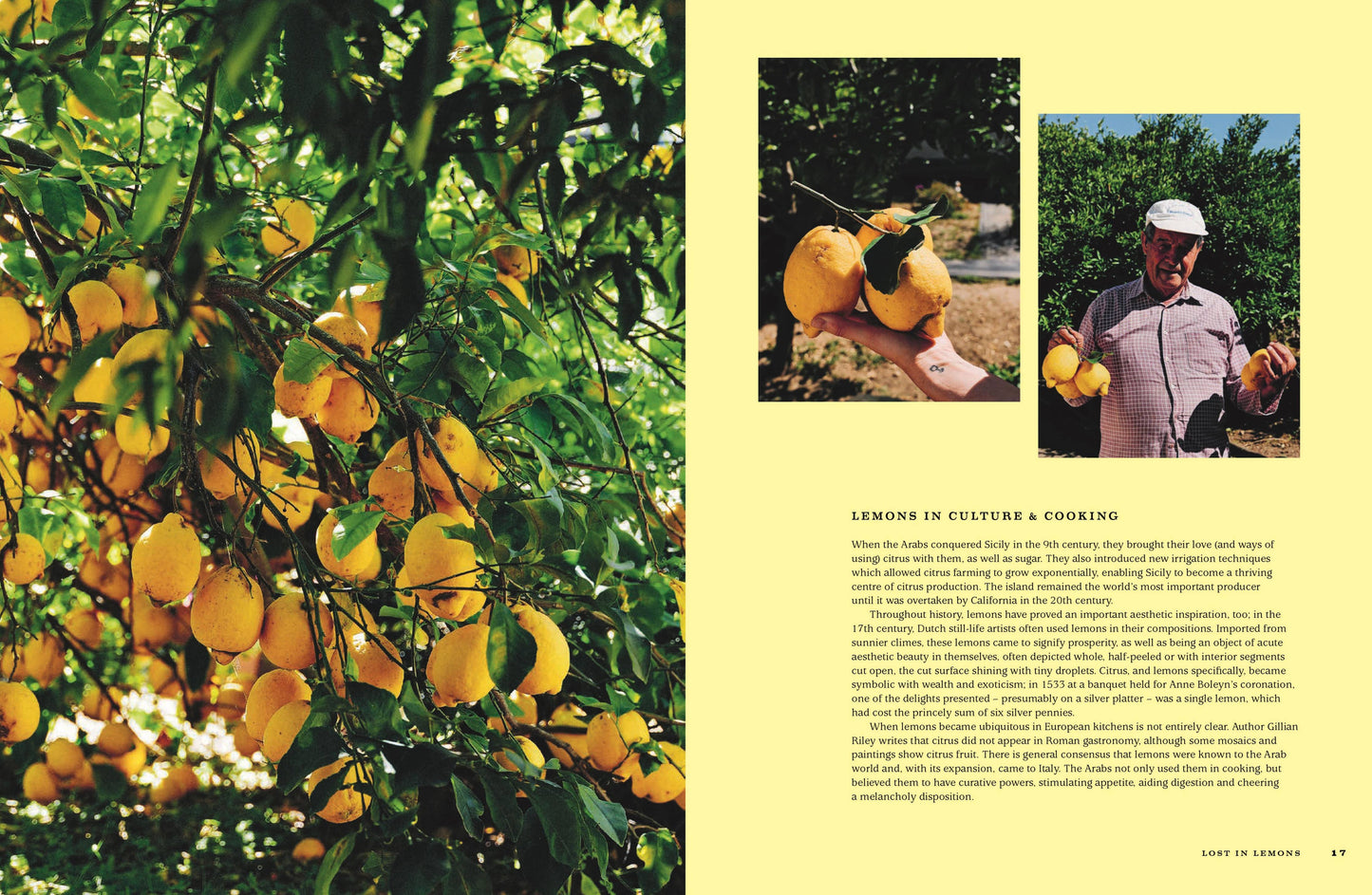 For The Love Of Lemons: Italian Inspired Sweet Book