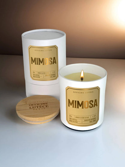 Mimosa Scented candle - Officine Lutece