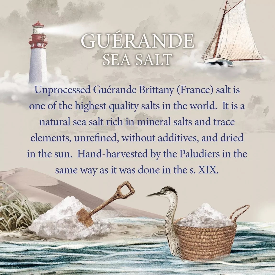 Artisan Crackers with Guérande Sea Salt & Olive Oil - Lady Joseph