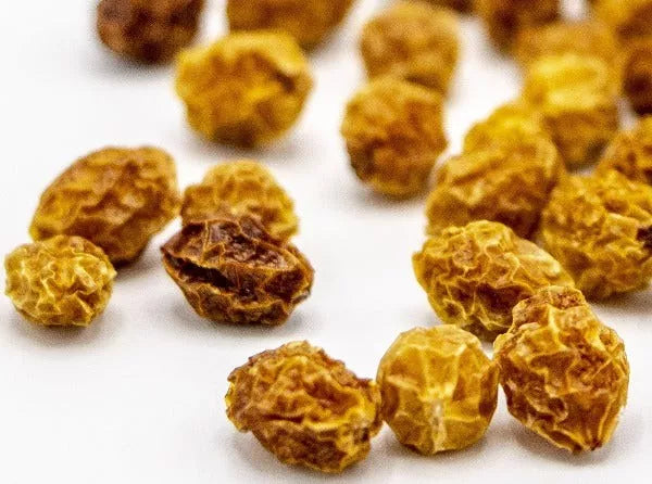 Orange Chilli Aji Charapita - Compagnie Du Poivre Et Des Epices