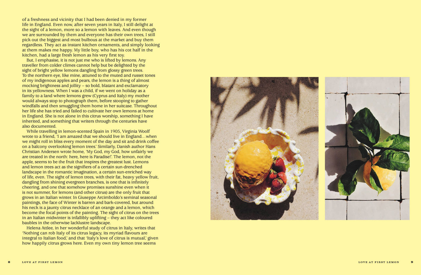 For The Love Of Lemons: Italian Inspired Sweet Book