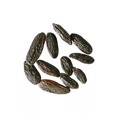 Tonka Beans  - Sur les Quais