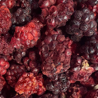 Organic freeze-dried Blackberries 100% pure fruit | Organica Food