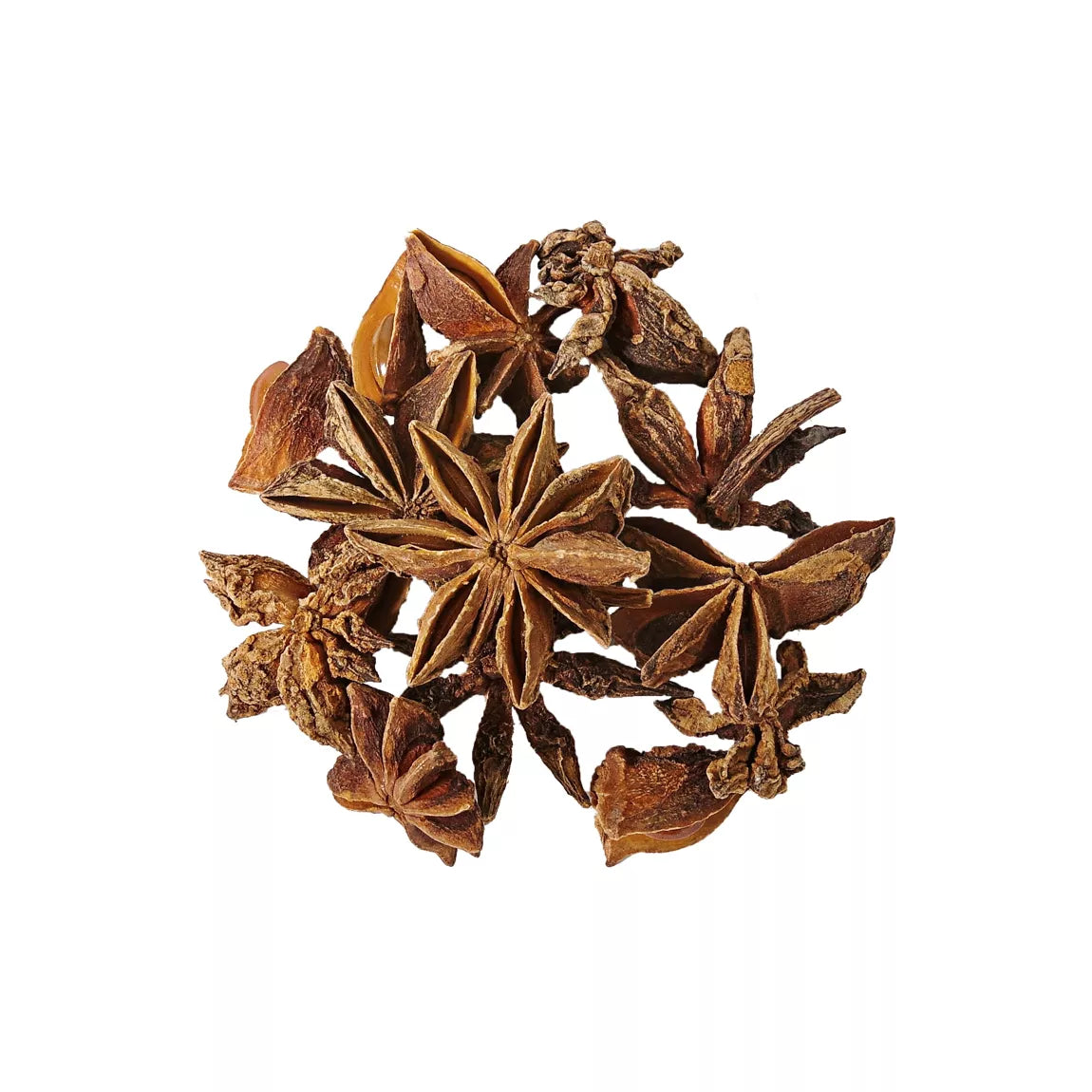 Star Anise Badian  - Sur les Quais