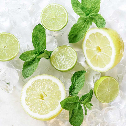 Mojito Syrup Teisseire – 1L
