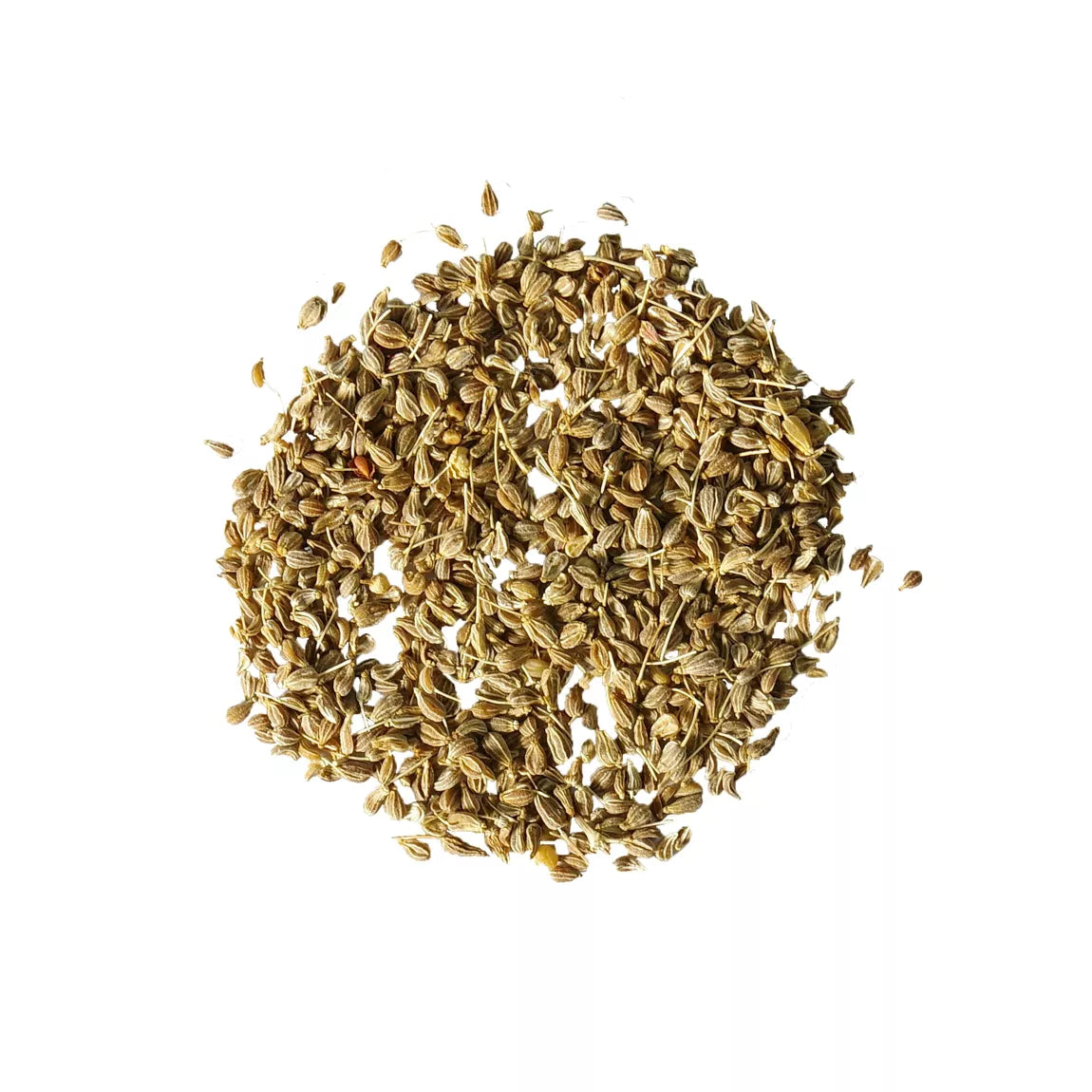 Anise Seeds - Sur les Quais