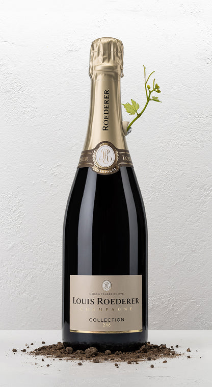 Champagne Brut Collection 244 - Louis Roederer