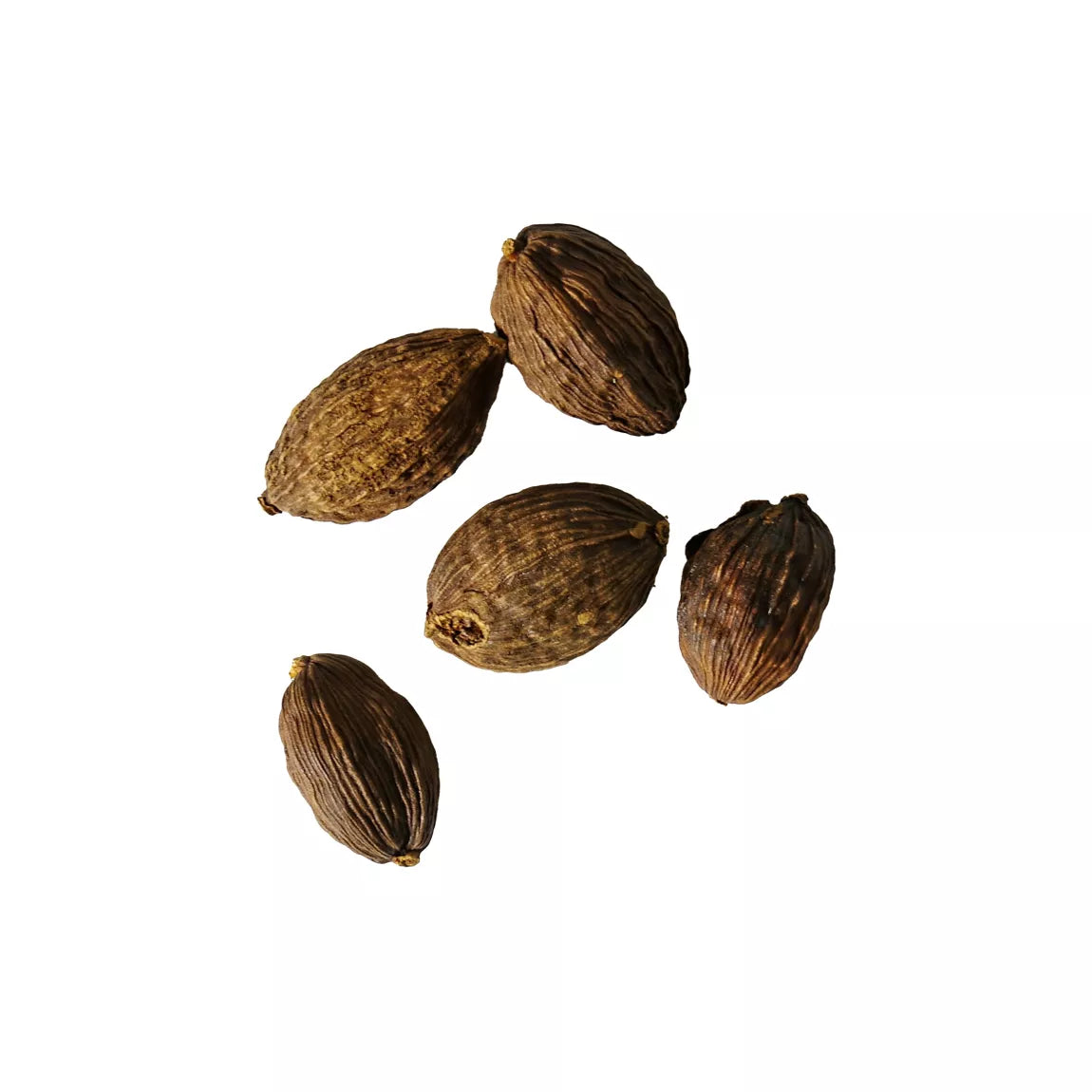 Black Cardamom Pods  - Sur les Quais