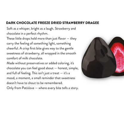 Dark Chocolate Covered Freeze Dried Strawberry - Patislove