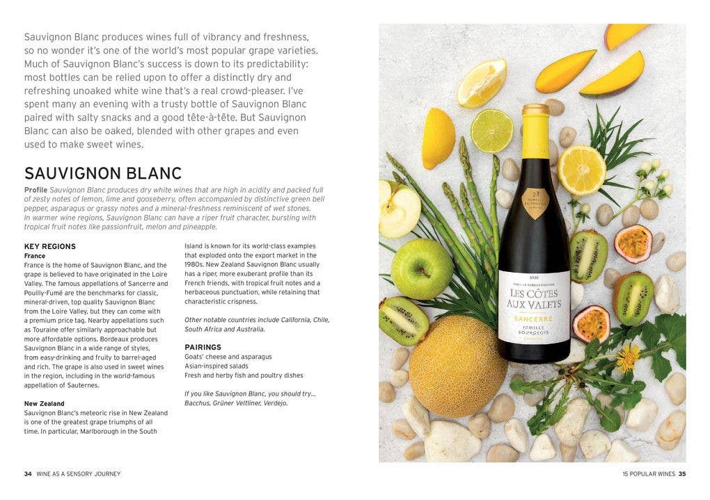 Wine: Taste Pair Pour Book