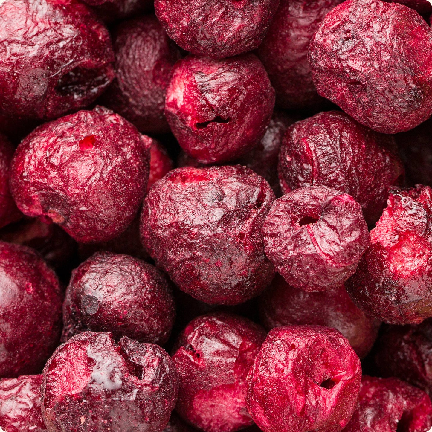 Organic freeze-dried cherries 100% pure fruit | Organica Food